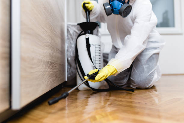 Best Emergency Pest Control  in Carl Junction, MO