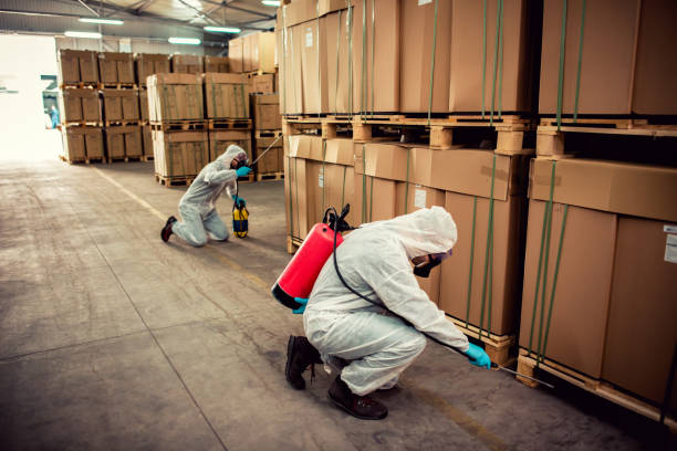 Best Flea Control Services  in Carl Junction, MO