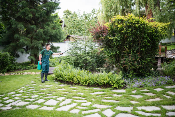 Best Pest Prevention Services  in Carl Junction, MO
