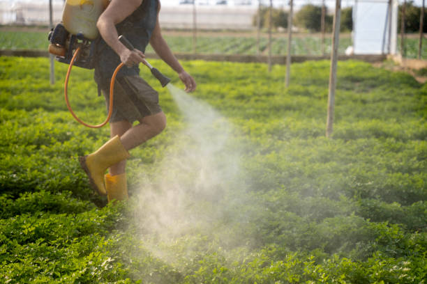 Best Exterminator Services  in Carl Junction, MO