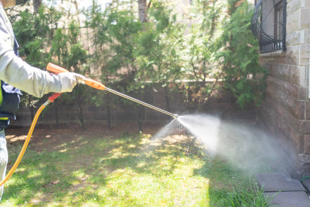Best Pest Control for Homes  in Carl Junction, MO
