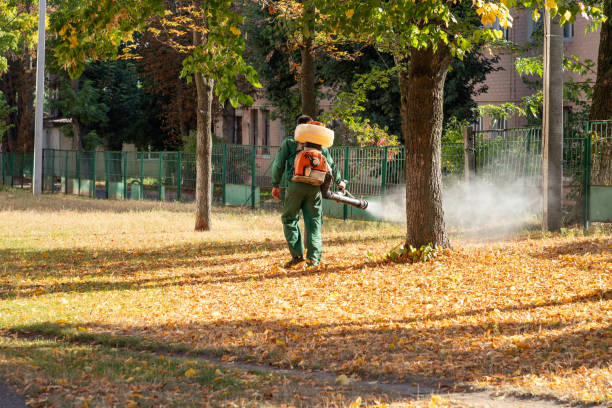 Best Affordable Pest Control Services  in Carl Junction, MO