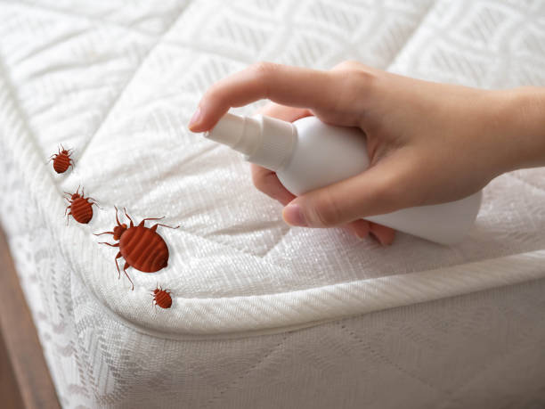 Best Pest Control for Restaurants  in Carl Junction, MO